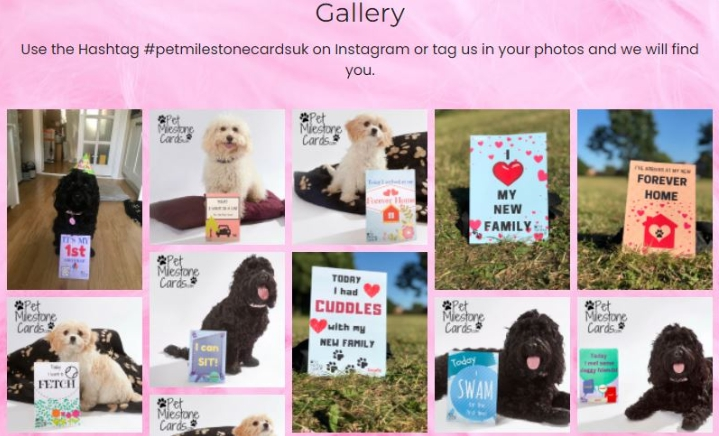 寵物產品 寵物產品